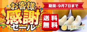 送料無料感謝セール