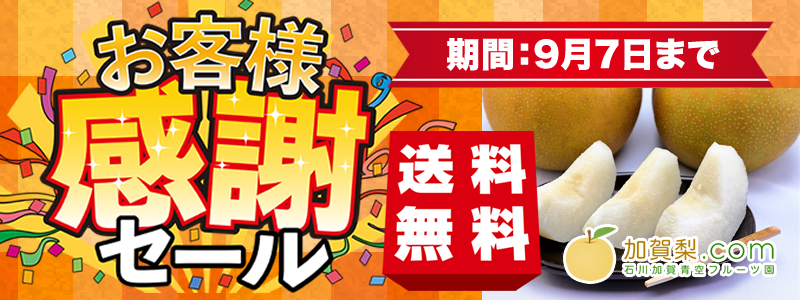 送料無料感謝セール